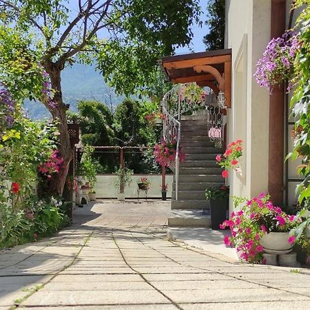 Vila Dzan SJJ Exteriér fotografie