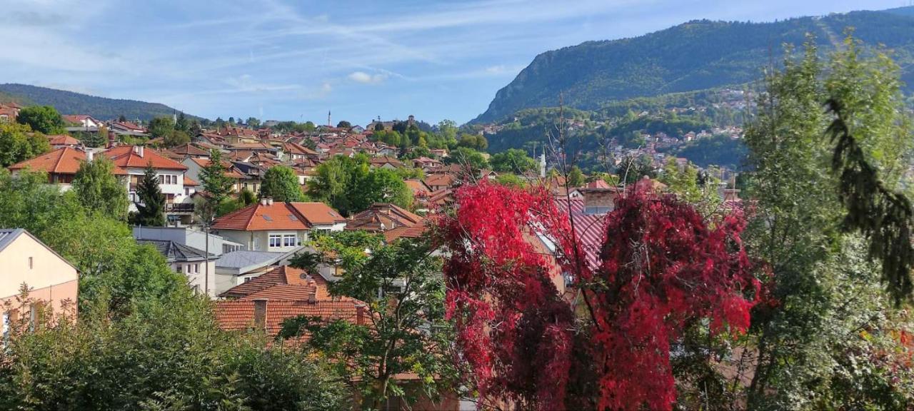 Vila Dzan SJJ Exteriér fotografie