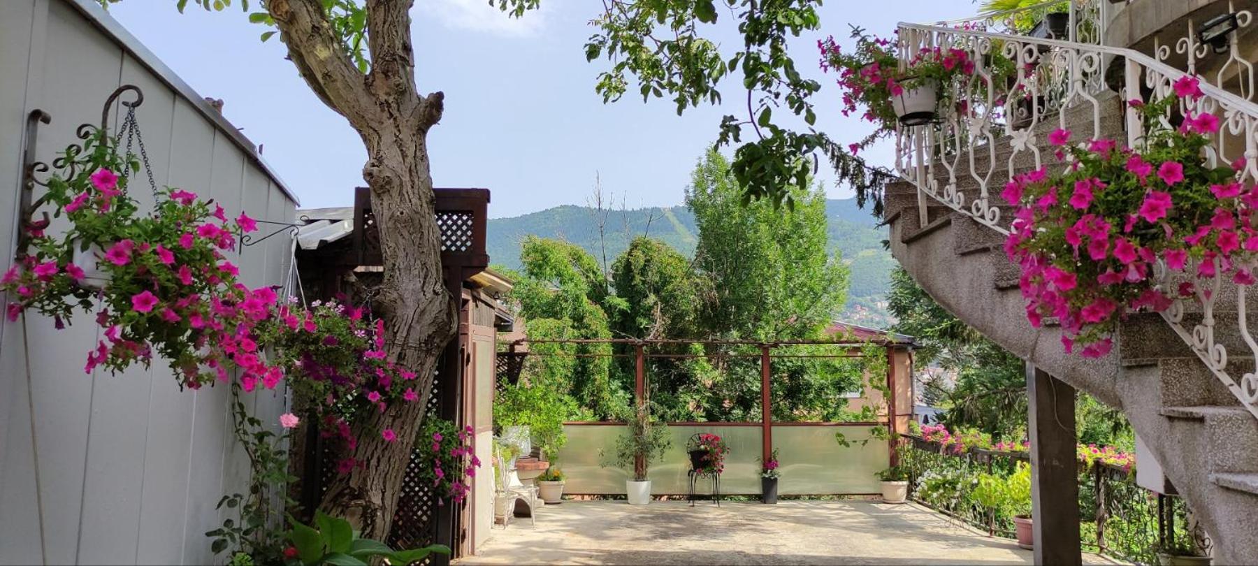 Vila Dzan SJJ Exteriér fotografie
